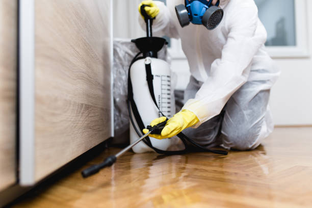 Pest Control Cost in Brookville, PA