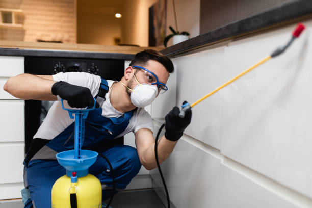 Best Cockroach Control Services  in Brookville, PA