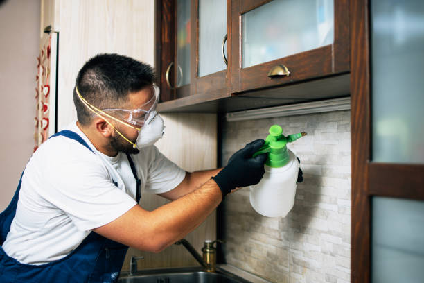Best Bed Bug Extermination  in Brookville, PA