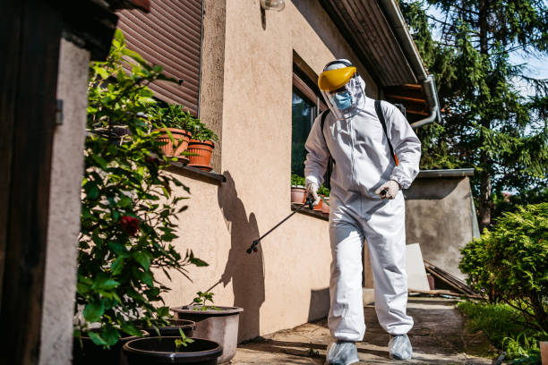 Best Rodent Control Near Me  in Brookville, PA