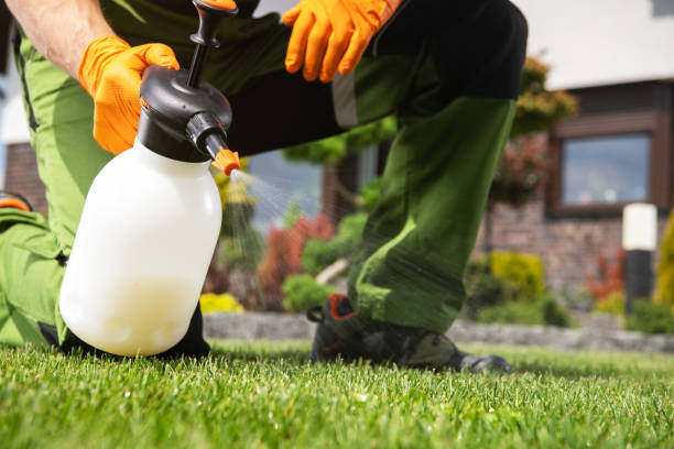 Best Affordable Pest Control Services  in Brookville, PA