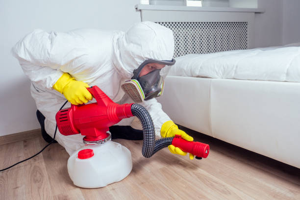 Best Emergency Pest Control  in Brookville, PA