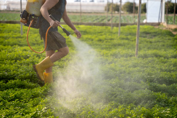Professional Pest Control in Brookville, PA