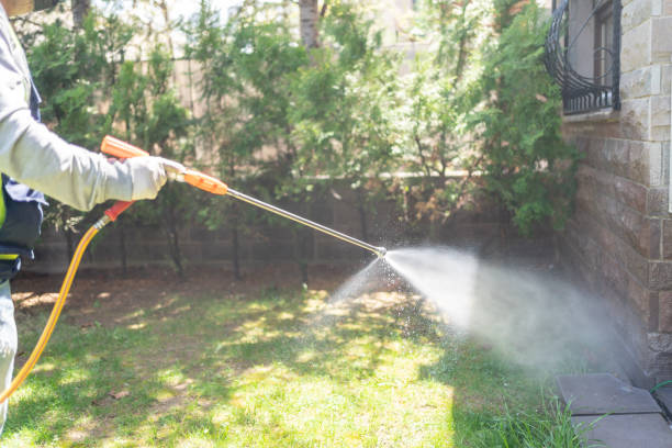 Best Affordable Pest Control Services  in Brookville, PA
