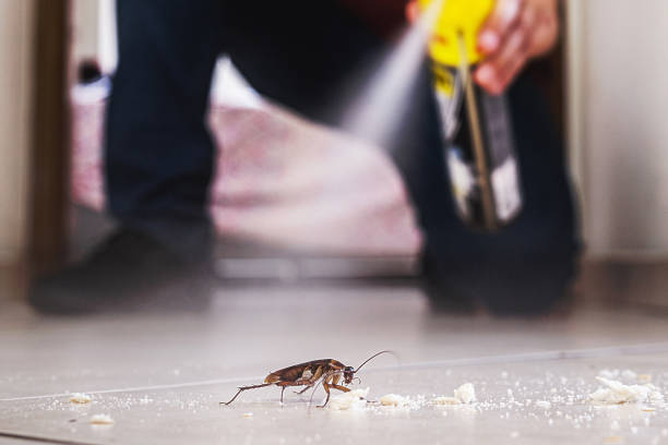 Best Pest Control for Businesses  in Brookville, PA