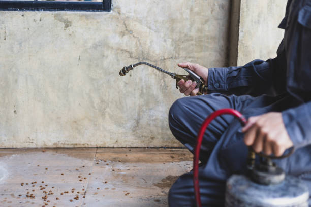 Best Pest Removal Services  in Brookville, PA
