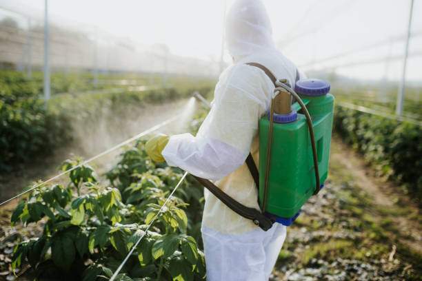 Professional Pest Control in Brookville, PA